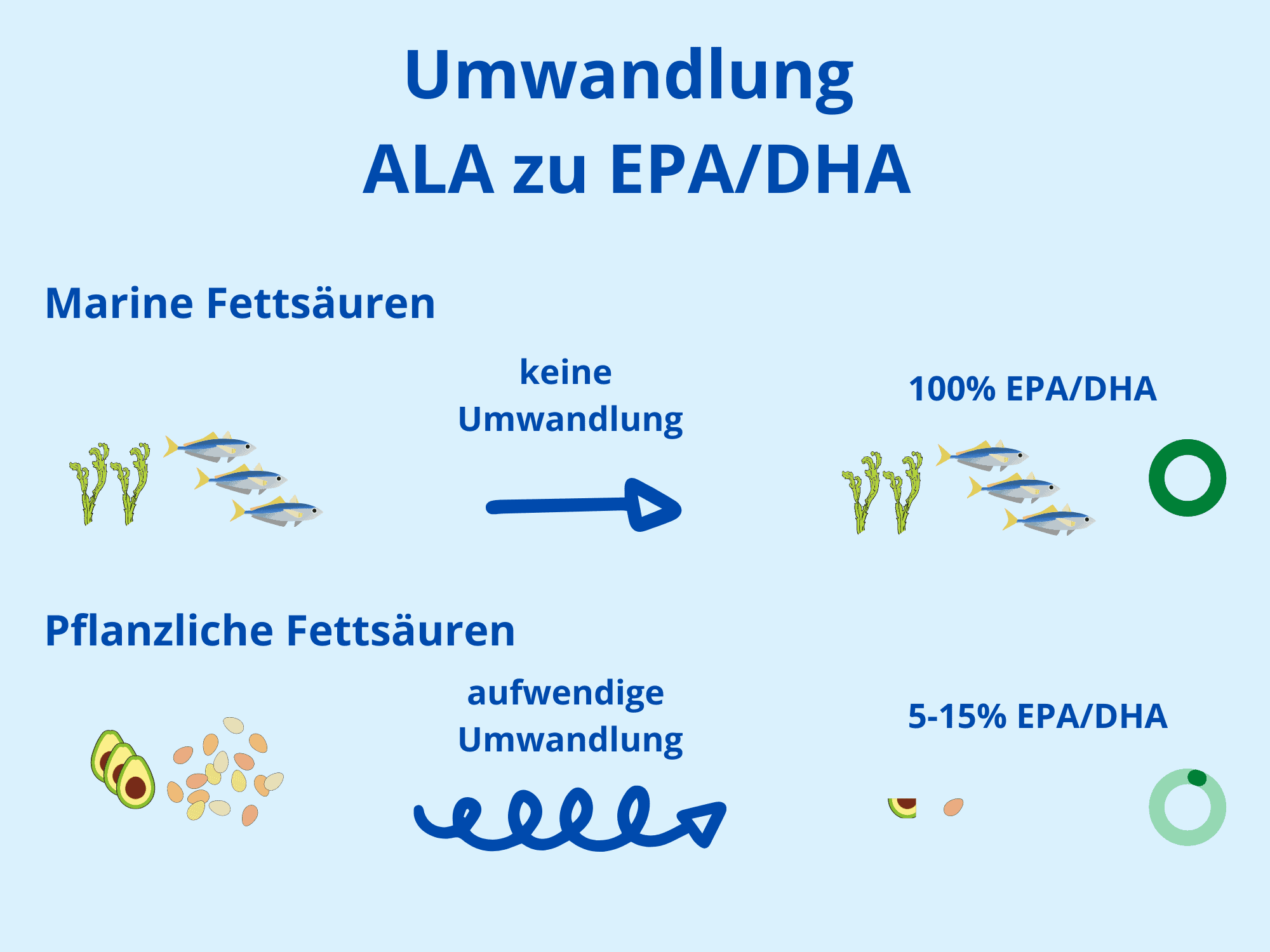 Omega 3 Fettsäuren Ausführlich & Verständlich erklärt