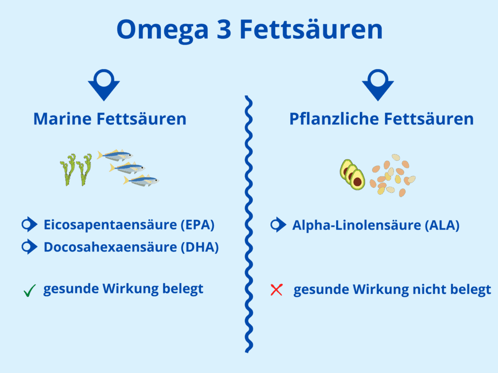 Omega 3 Fettsäuren Ausführlich & Verständlich erklärt