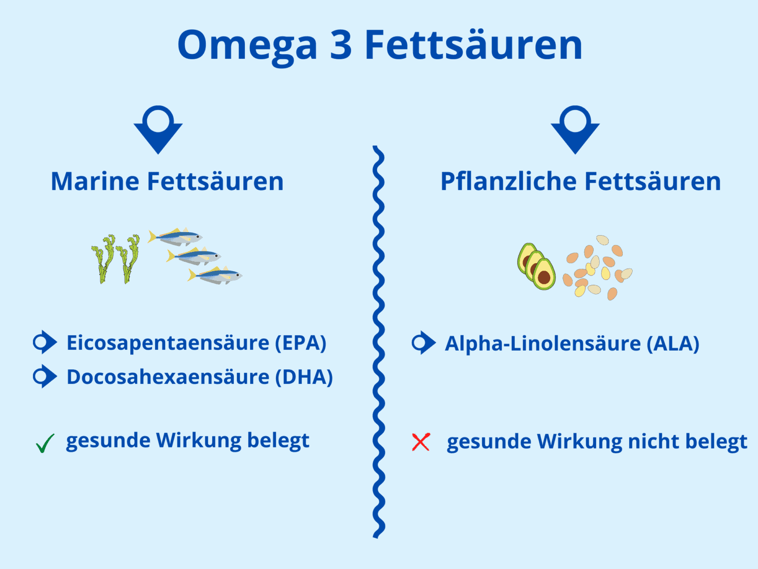 Omega 3 Fettsäuren Ausführlich & Verständlich erklärt Omega 3 Fettsäuren Ausführlich & Verständlich erklärt