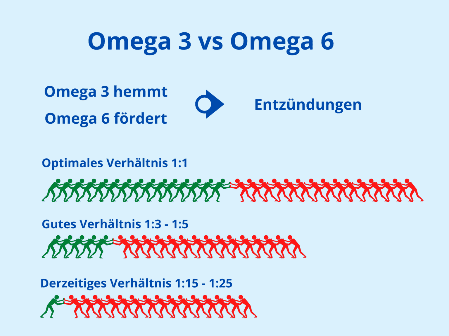 Omega 3 Fettsäuren Ausführlich & Verständlich erklärt Omega 3 Fettsäuren Ausführlich & Verständlich erklärt